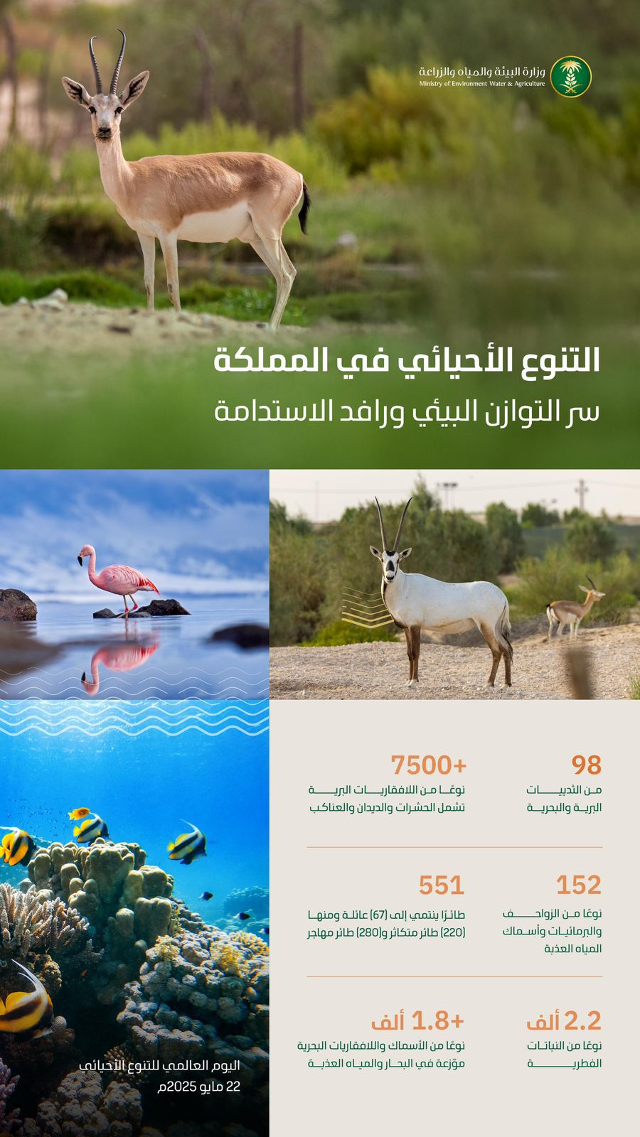 التنوع الأحيائي بالسعودية.. إرث طبيعي وركيزة للاستدامة وتوازن النظم البيئية