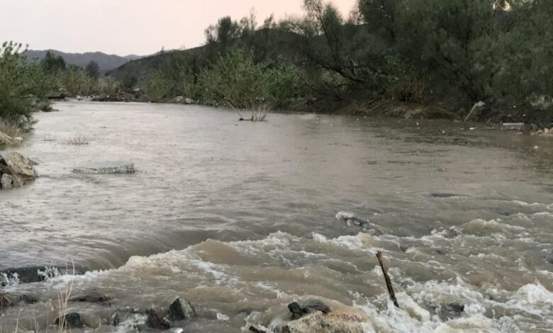 هطول الأمطار ي بيشة
