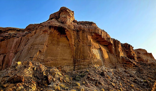 تسجيل ولادة 74 حيوانًا بريًا في محمية الملك خالد