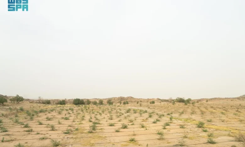 زراعة أكثر من 20 مليون شجرة في الرياض