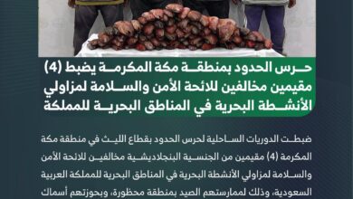ضبط 4 مخالفين للائحة الأمن والسلامة لمزاولي الأنشطة البحرية في مكة