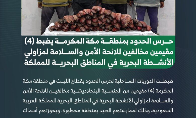 ضبط 4 مخالفين للائحة الأمن والسلامة لمزاولي الأنشطة البحرية في مكة