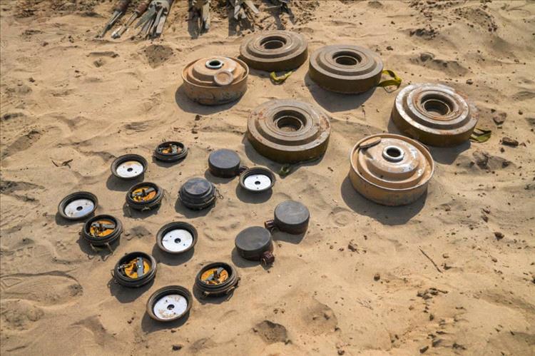 أبين.. مسام يتلف أكثر من 4 آلاف ذخيرة في عملية نوعية بوادي دوفس
