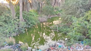 أمراض، روائح، وإهمال... مستنقعات عبرلسلوم فضيحة بيئية في قلب تبن