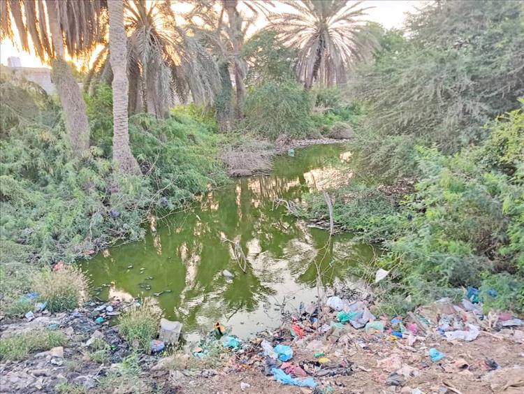 أمراض، روائح، وإهمال... مستنقعات عبرلسلوم فضيحة بيئية في قلب تبن
