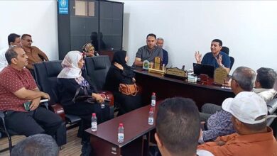 إجتماع موسع يناقش ترتيبات تنفيذ عدد من التدخلات لمكافحة الضنك والحميات في عدن