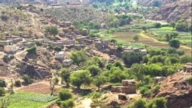 إغلاق "سوق السبت" في الغيل: شريان حياة يختنق.. ومعاناة تتفاقم في صمت