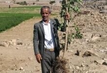 اختطاف ناشطًا مجتمعيًا في ذمار