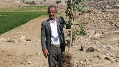 اختطاف ناشطًا مجتمعيًا في ذمار