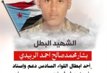 استشهاد جندي من ابطال اللواء السادس بلدغة ثعبان في وادي عومران.