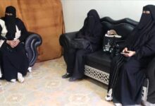 استمرار جهود الحصر الزراعي الشامل... نزول ميداني لفريق من المهندسين إلى مديرية القطن