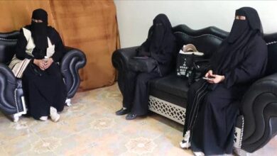 استمرار جهود الحصر الزراعي الشامل... نزول ميداني لفريق من المهندسين إلى مديرية القطن