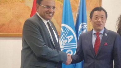 السقطري يبحث مع مدير عام "الفاو" سبل تعزيز التعاون ودعم استراتيجية صحة النبات