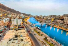 القبض على متهم بإطلاق النار على والدته في حضرموت