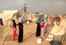 الهجرة الدولية: نزوح 49 أسرة خلال أسبوع