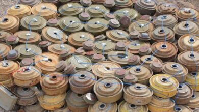 انتزاع 1.488 لغمًا حوثيًا خلال الأسبوع الرابع من شهر إبريل