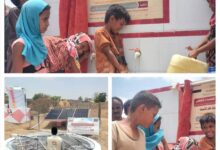 تشبيك تعيد الأمل لقريتي الصعيدة والمجلي بمديرية المخا