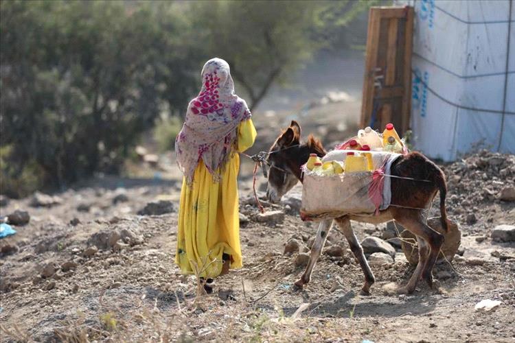 تقرير أممي يحذر من تهديد نقص التمويل بقطع الخدمات المنقذة للحياة عن 1.5 مليون امرأة يمنية