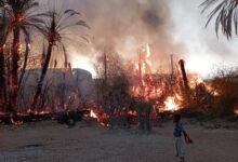 حريق هائل يلتهم أكثر من 150 نخلة في مديرية ساه بحضرموت