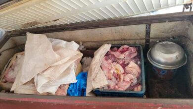 حملة تفتيشية تغلق عدد من مطابخ تحضير وجبات الكراش " أحشاء الأسماك " بسبب مخالفات صحية بمدينة الشحر