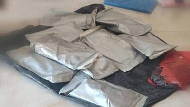 خفر السواحل بحضرموت تُحبط تهريب كمية من الحشيش في عرض البحر