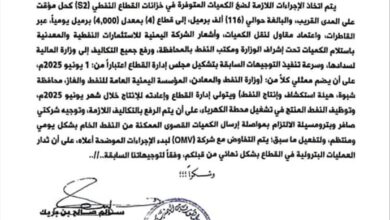 رئيس الوزراء يوجه بتشكيل إدارة جديدة لقطاع العقلة وضخ النفط الخام لكهرباء عدن