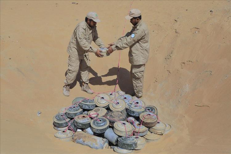 شبوة: مشروع مسام يتلف 600 لغم وعبوة ناسفة