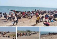 ضبط قارب تهريب يقل 132 مهاجرًا أفريقيًا قبالة سواحل رأس العارة ضمن حملة أمنية مشتركة
