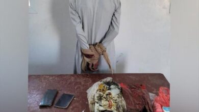 قوات دفاع شبوة تحبط محاولة تهريب مخدرات وتضبط المروج