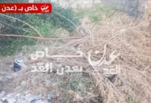 مدير صندوق النظافة والتحسين بأحور يدشّن حملة إزالة المخلفات وبعض الأشجار داخل حرم مدرسة الزهراء