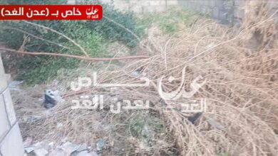 مدير صندوق النظافة والتحسين بأحور يدشّن حملة إزالة المخلفات وبعض الأشجار داخل حرم مدرسة الزهراء