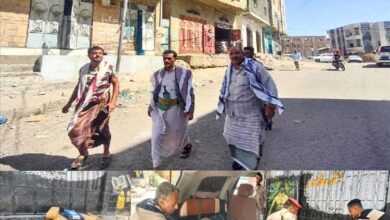 مديرية القاهرة بتعز تزوّد حي الروضة بإنارات شمسية لتعزيز الأمن المجتمعي