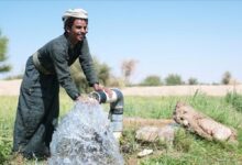 من حقول الموت إلى واحة للحياة.. مسام يعيد الطمأنينة لأبناء شبوة