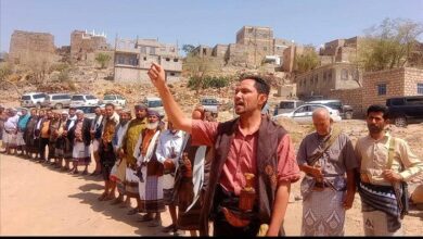 منطقة العواكب بمديرية الحد بيافع تشهد مراسم (نسب) قبلي بين قبيلتي آل حمادي وآل جوهر