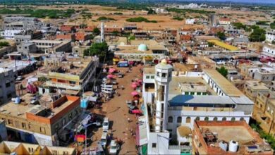 مواطنون يشكون من انتشار الحمّيات في أبين
