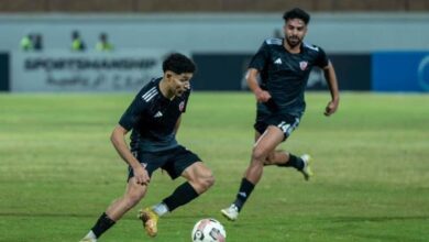 توفيق محمد