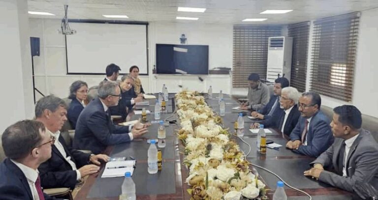 البنك المركزي يناقش مع سفراء الاتحاد الأوروبي مستجدات القطاع المصرفي