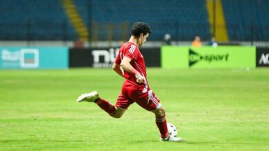 فوزي الحناوي