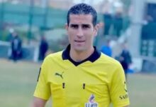 محمود ناجي