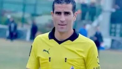 محمود ناجي