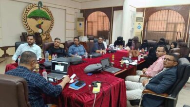 الهيئة العليا للأدوية تشارك في ورشة عمل حول مخطط شهادة المواد الخام الصيدلانية