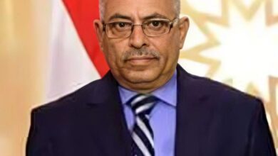 الوحدة اليمنية منجز تاريخي يستوجب التكاتف والتلاحم لبناء يمن اتحادي آمن ومستقر