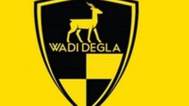 وادي دجلة