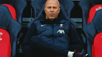 سلوت