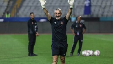 ميشيل يانكون