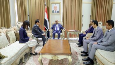 رئيس الوزراء يتسلم رسالة خطية من نظيره الياباني ويؤكد على استراتيجية العلاقات بين البلدين
