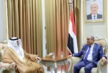 رئيس الوزراء يستقبل السفير الاماراتي لدى اليمن