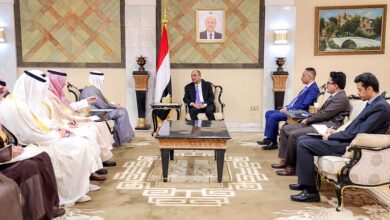 رئيس الوزراء يستقبل امين عام مجلس التعاون لدول الخليج العربية