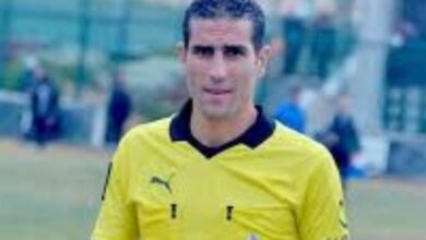 محمود ناجي