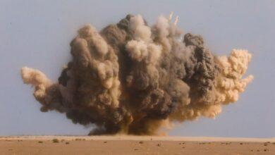 "مسام" يتلف 3 آلاف و 36 لغماً وذخيرة في باب المندب